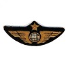 Pilot Wing Classic Globe Gold