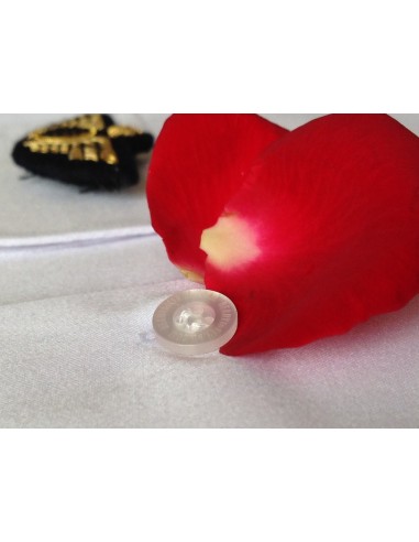 Pilot Shirt "White Collar" Long or Short Sleeves