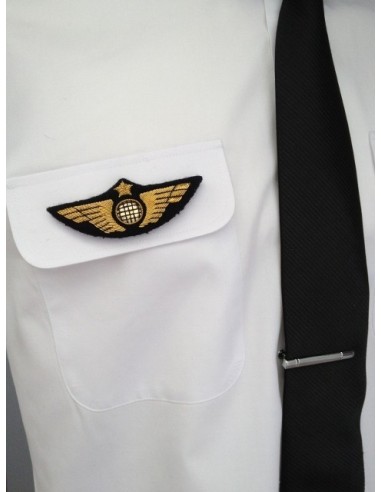 Ailes de Poitrine Pilote Or à Crochets