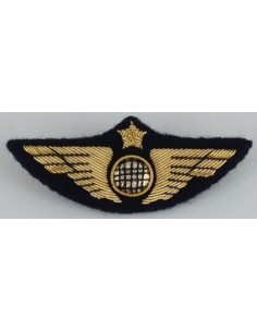 Ailes de Poitrine Pilote Or à Crochets