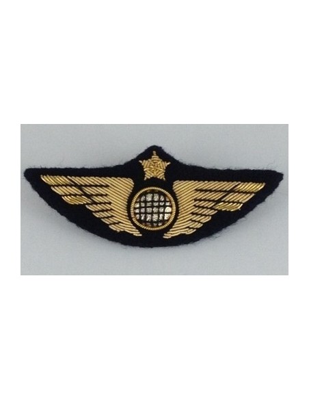 Ailes de Poitrine Pilote Or à Crochets