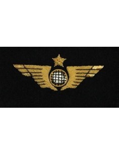 Aile de Poitrine Pilote Avion Doré à Plat A COUDRE Brodée sur Feutrine