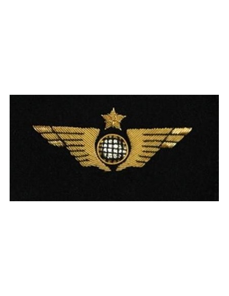 Aile de Poitrine Pilote Avion Doré à Plat A COUDRE Brodée sur Feutrine Aile de Poitrine Pilote Avion Doré à Plat A COUDRE Brodée sur Feutrine