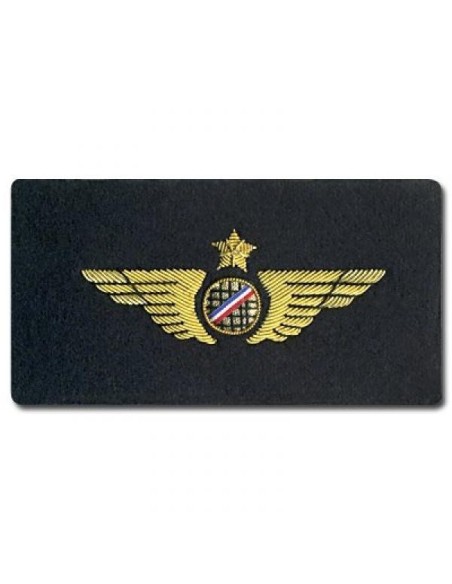 Aile de Poitrine Pilote Avion Doré à Plat A COUDRE Brodée sur Feutrine Aile de Poitrine Pilote Avion Doré à Plat A COUDRE Brodée sur Feutrine
