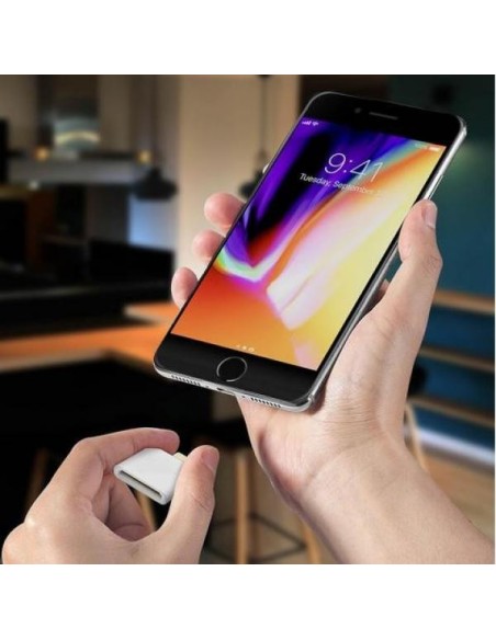 Emprum Ultimate GPS dungle for iPod touch, iPhone and iPad (30 pins)