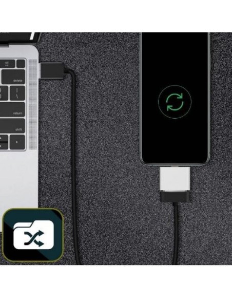 Emprum Ultimate GPS Connecteur Externe IPAD (30 Broches)