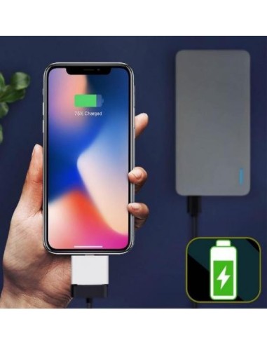 Emprum Ultimate GPS Connecteur Externe IPAD (30 Broches)