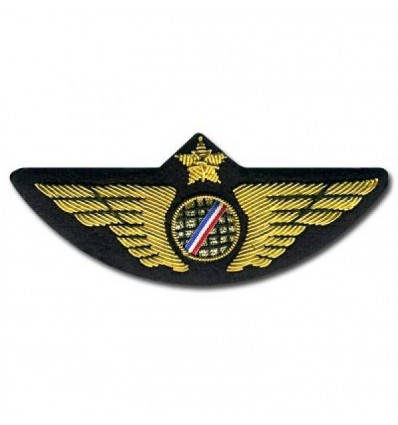 Pilot Wing Gold with Bleu White Red stripes - SECURITY PIN