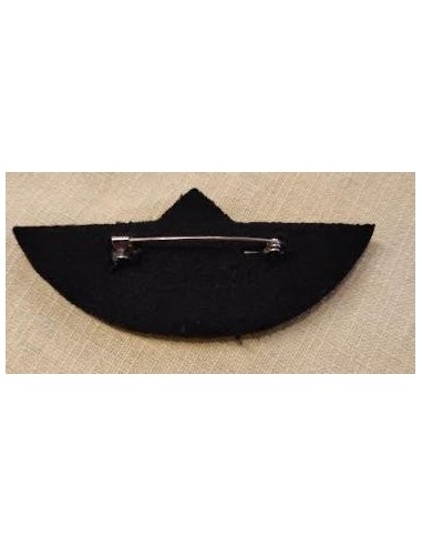 Single Globe Chest Wings in Silver with a Security Pin