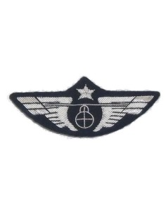 Single Globe Chest Wings in Silver with a Security Pin