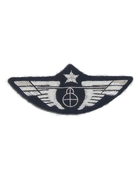 Single Globe Chest Wings in Silver with a Security Pin Single Globe Chest Wings in Silver with a Security Pin