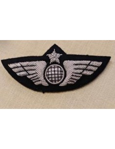 Pilot Wing Classic Globe Silver with Security Pin