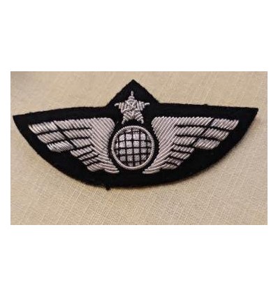 Pilot Wing Classic Globe Silver with Security Pin