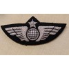 Pilot Wing Classic Globe Silver with Security Pin